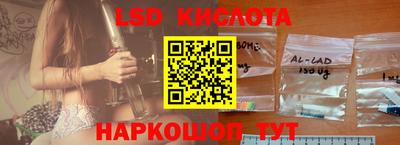 гашик Шелехов