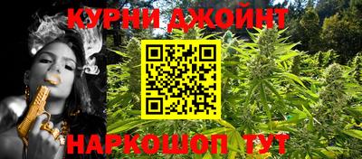 гашик Шелехов