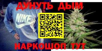 гашик Шелехов