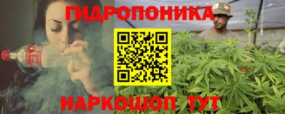 гашик Шелехов