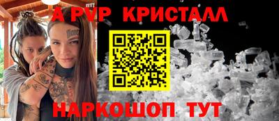 гашик Шелехов