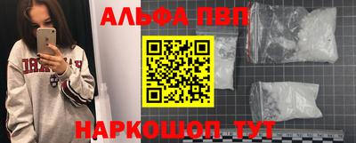 гашик Шелехов