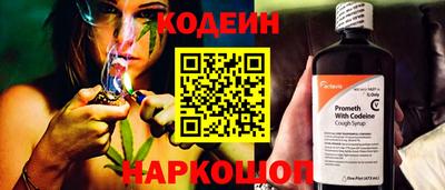 гашик Шелехов