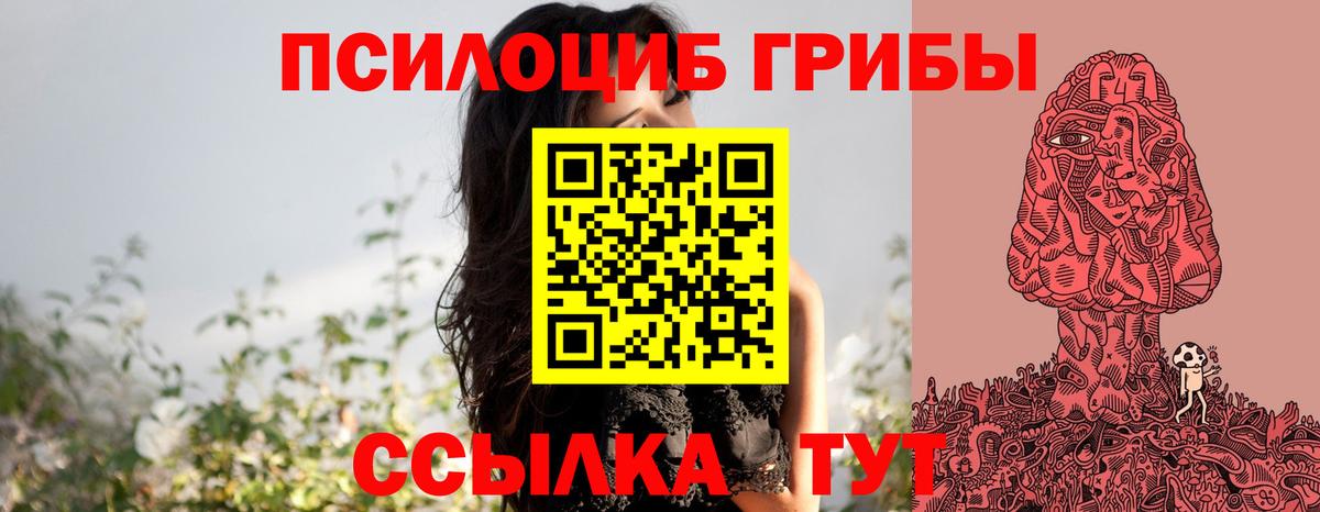Псилоцибиновые грибы мицелий Верхняя Салда